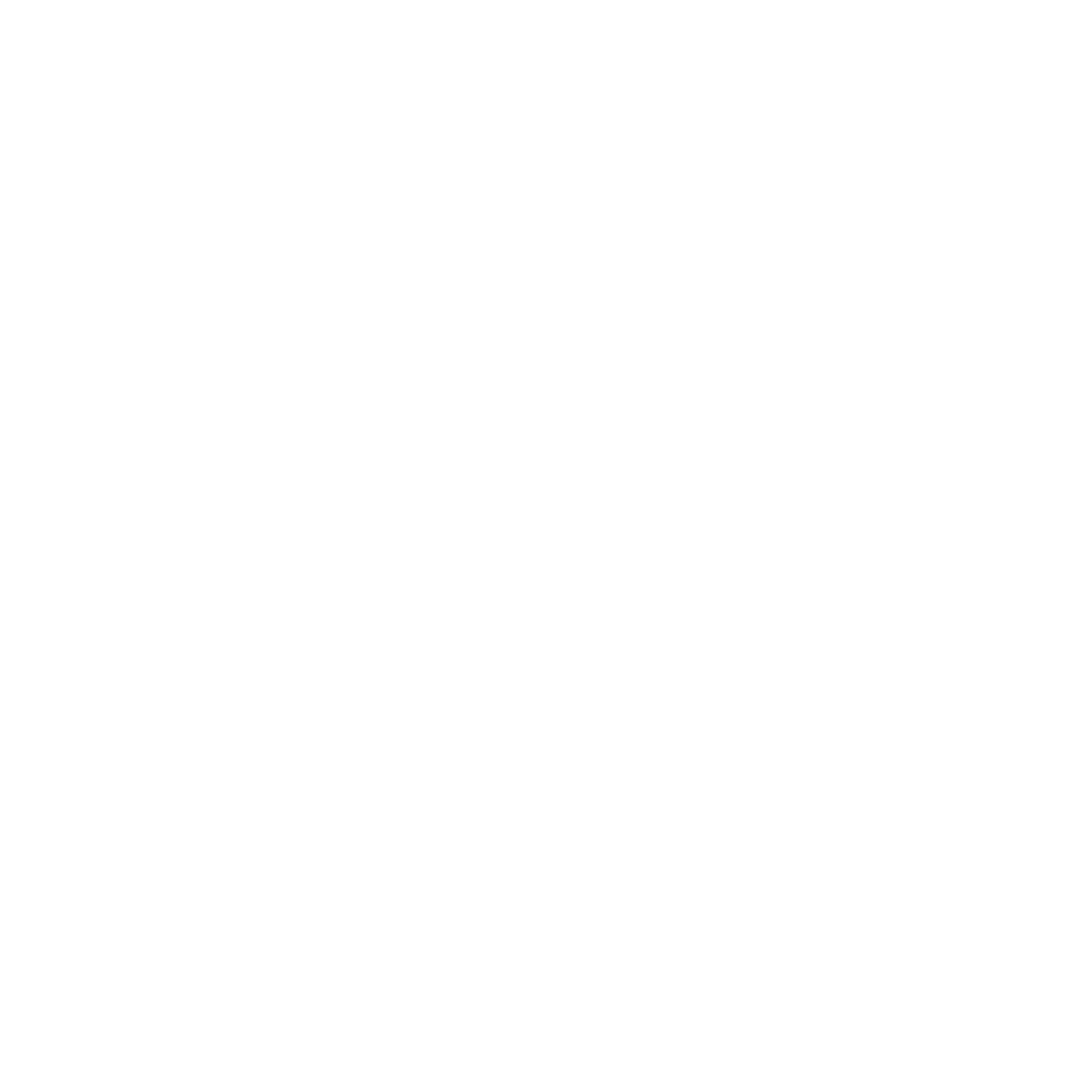 New Rodeo Labs* Logo